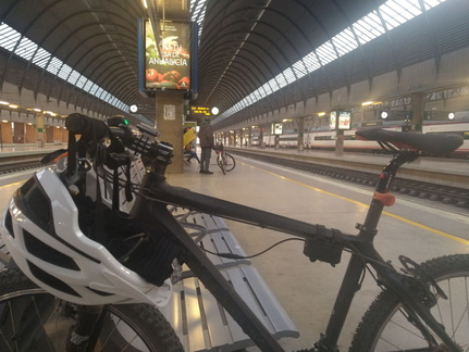 IMG 20220123 084908532