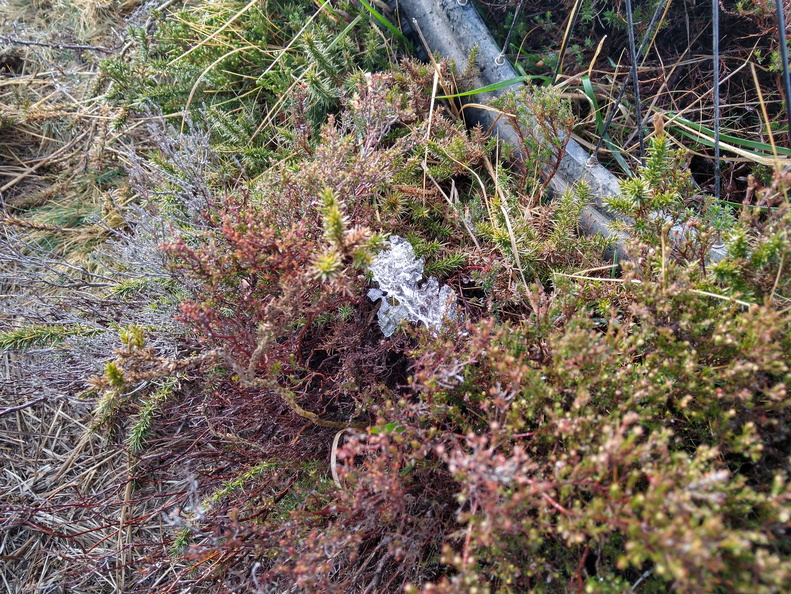 IMG 20220219 105538741 HDR