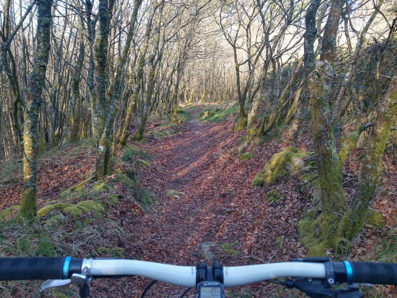 IMG 20220306 094822486 HDR