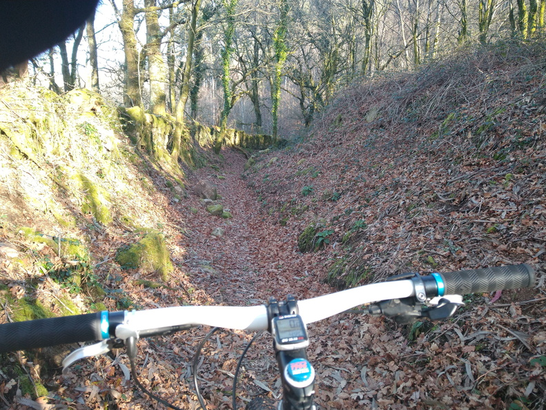 IMG 20220306 094947476