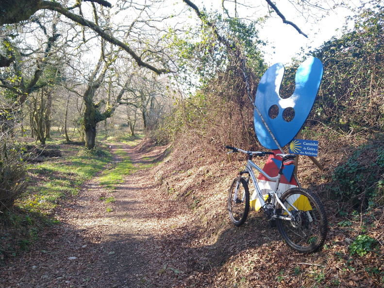 IMG 20220306 095243266