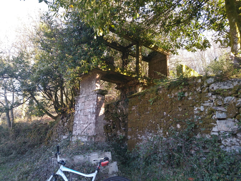 IMG 20220306 100717981