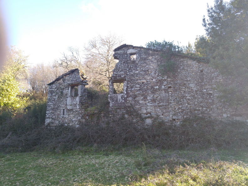 IMG 20220306 100755515