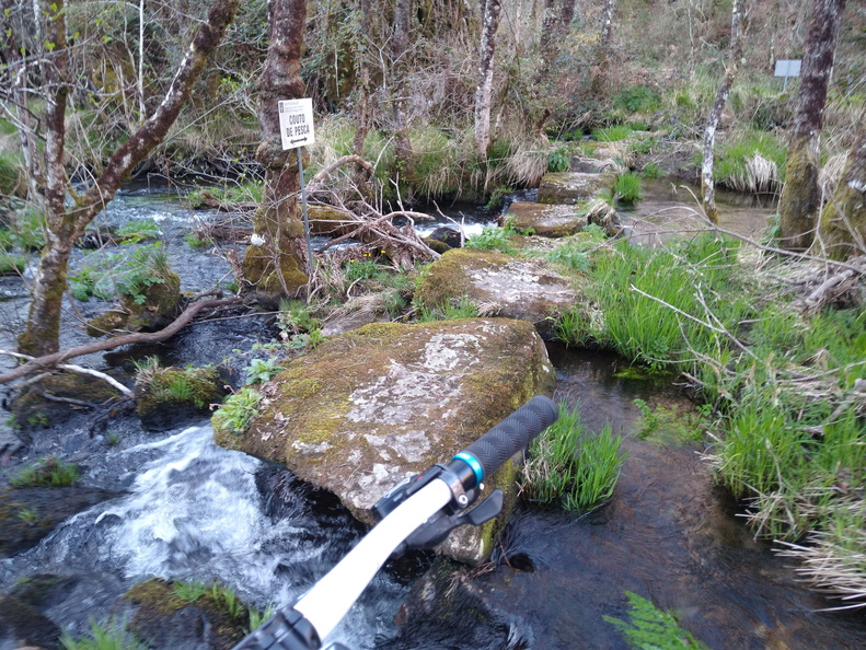 IMG 20220402 193007466