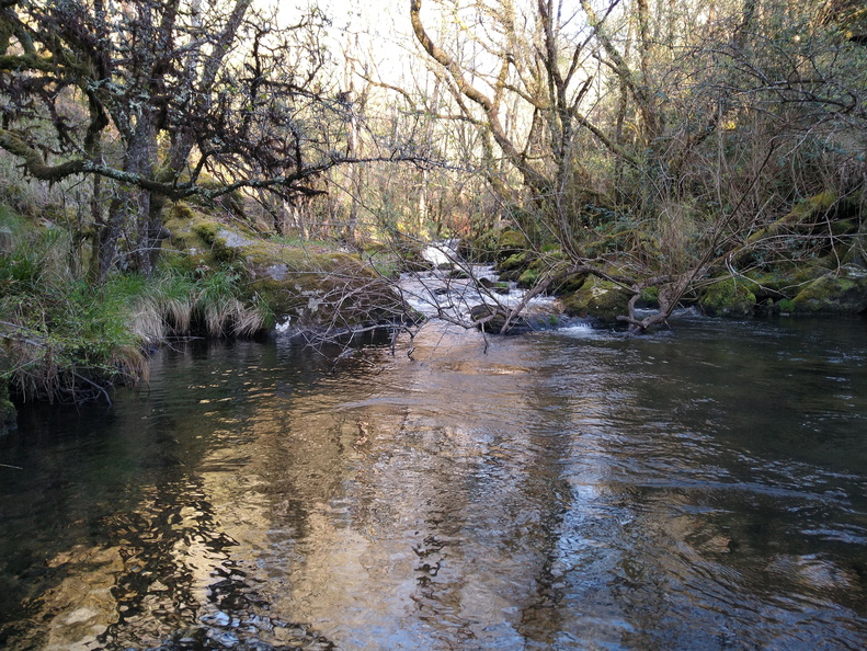 IMG 20220402 193159456