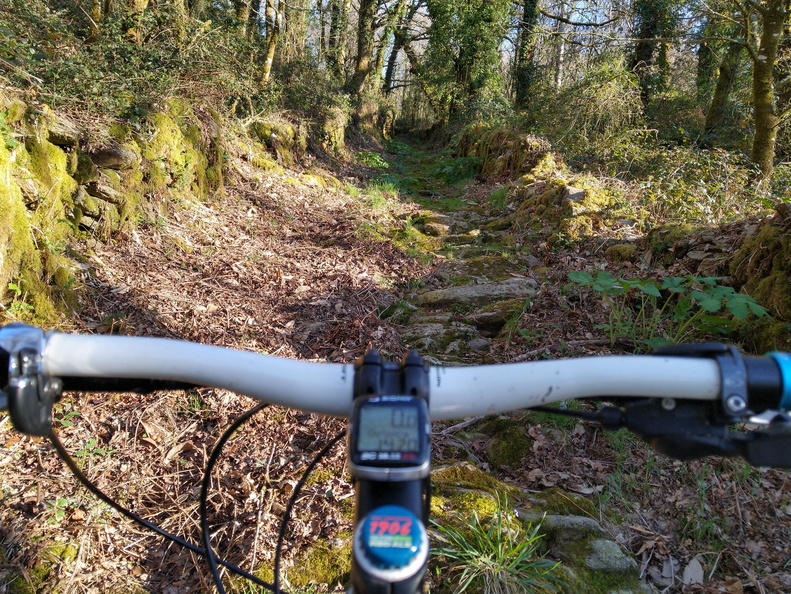 IMG 20220402 193954245 HDR