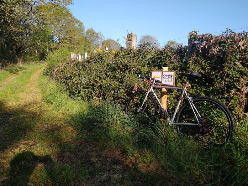 IMG 20220504 094018417