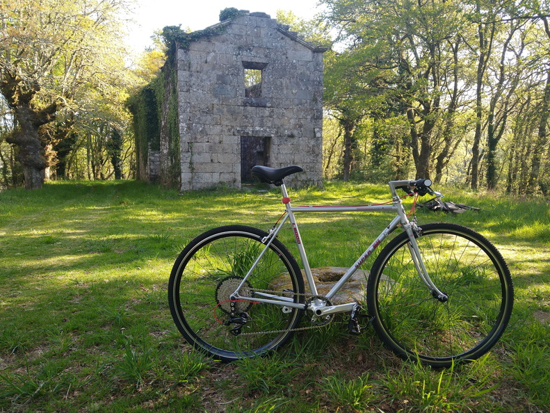 IMG 20220504 095512348