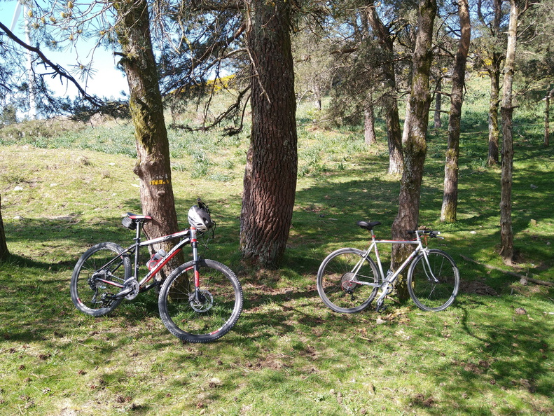 IMG 20220508 113550215