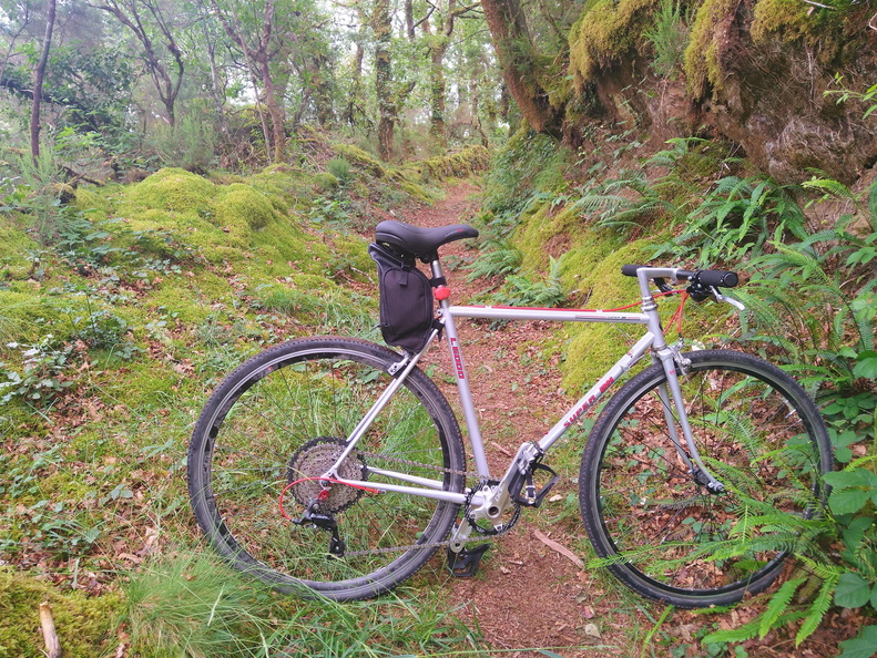 IMG 20220616 172705 HDR 1