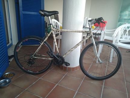 IMG 20220815 211114274