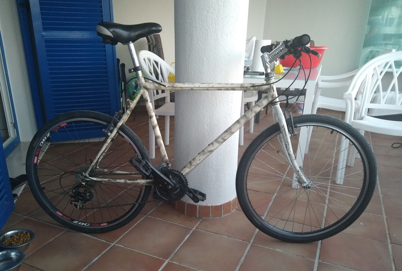 IMG 20220815 211114274 1