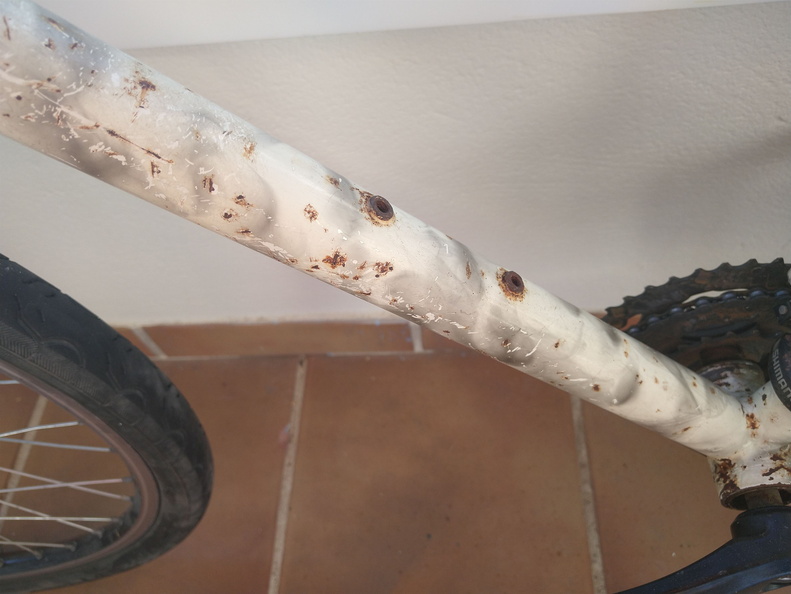 IMG 20220816 085736519