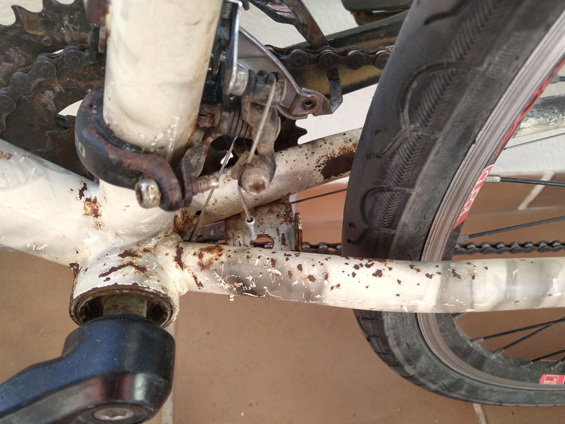 IMG 20220816 085740619 HDR