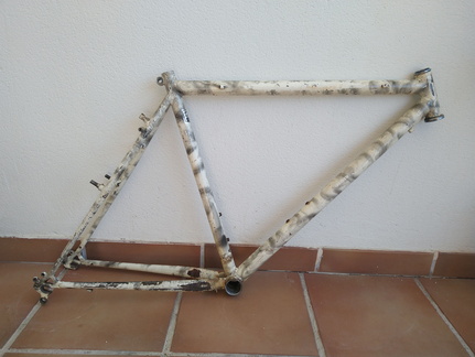 IMG 20220819 094729528