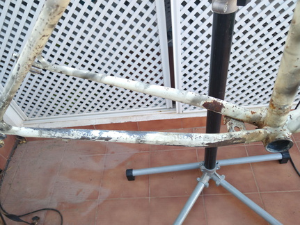 IMG 20220820 192304439