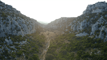 vlcsnap-2022-09-25-13h57m08s267