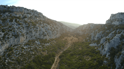 vlcsnap-2022-09-25-13h58m23s713