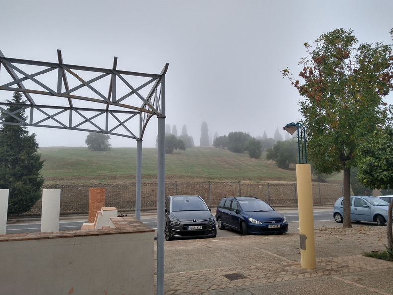 IMG 20221101 084733534 HDR