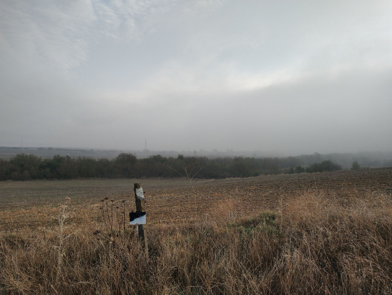 IMG 20221101 092145210 HDR