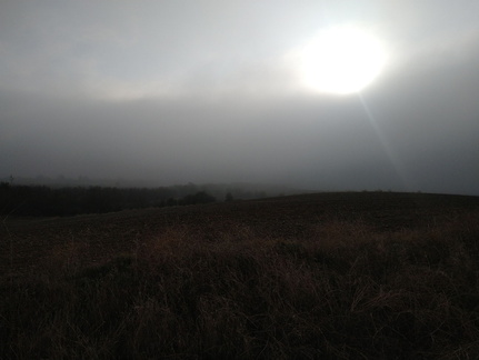 IMG 20221101 092147078