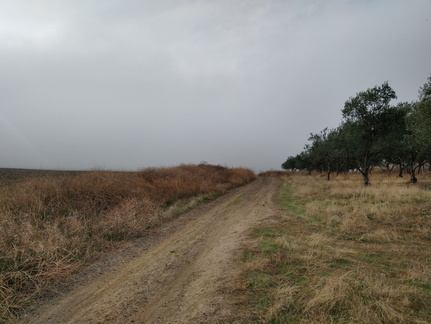 IMG 20221101 092150754 HDR