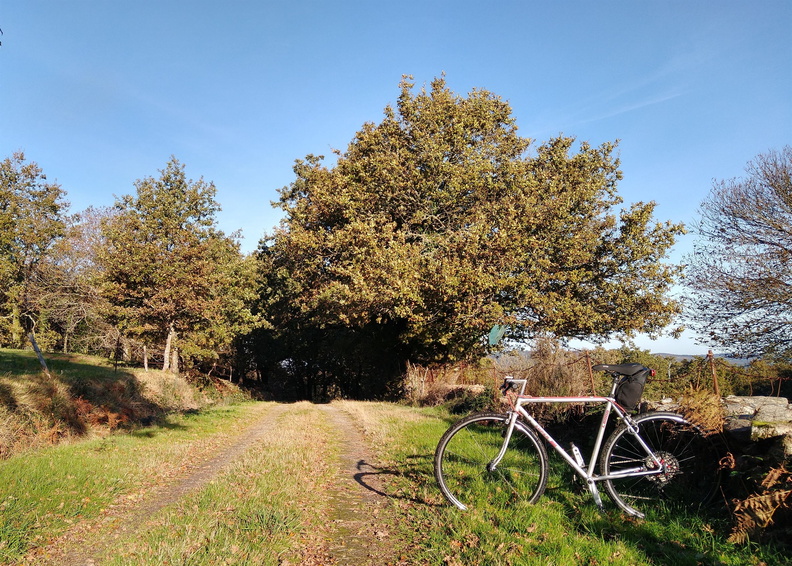 IMG 20221112 101149622 HDR 2