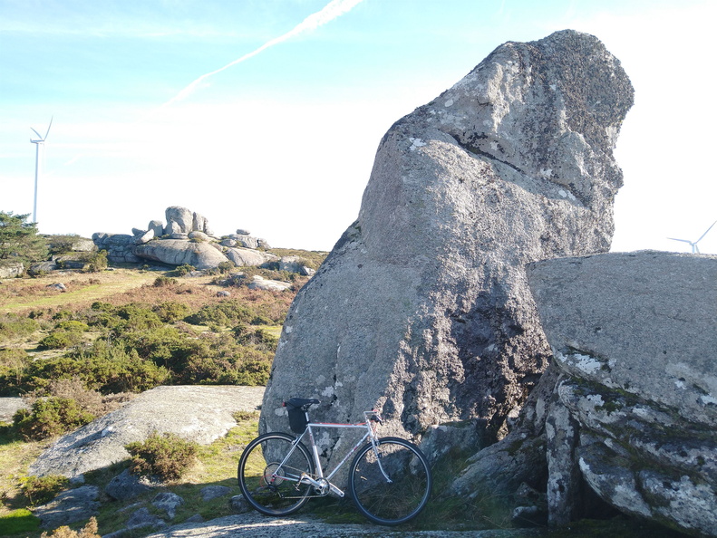 IMG 20221112 112724479