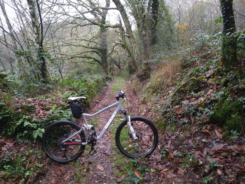 IMG 20221119 091457692