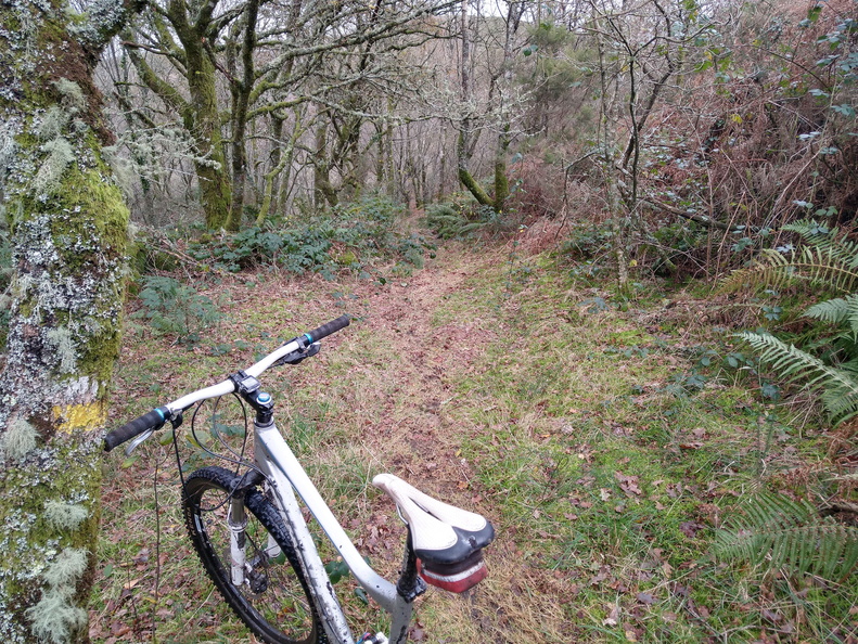 IMG 20221126 110710931 HDR