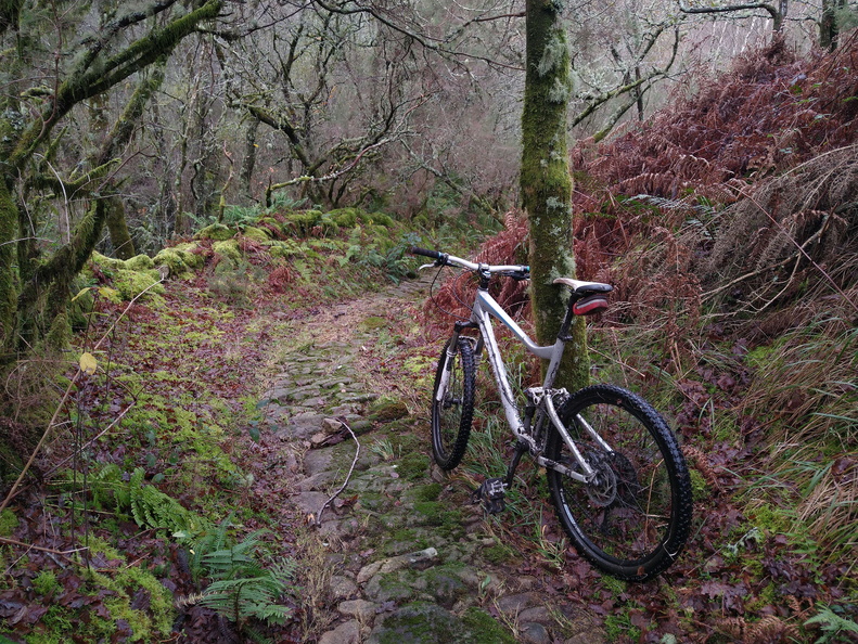 IMG 20221126 111006106