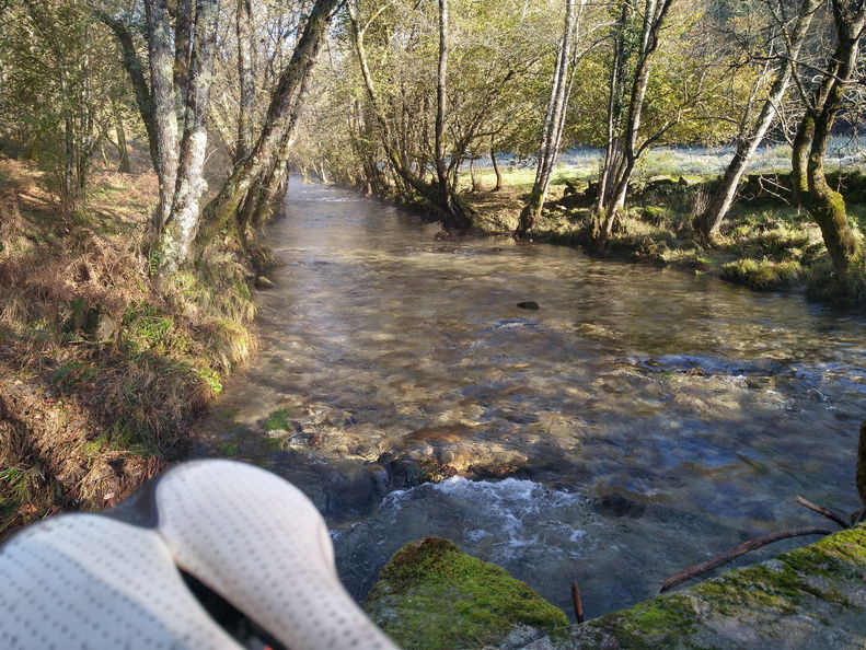 IMG 20221204 111515980 HDR