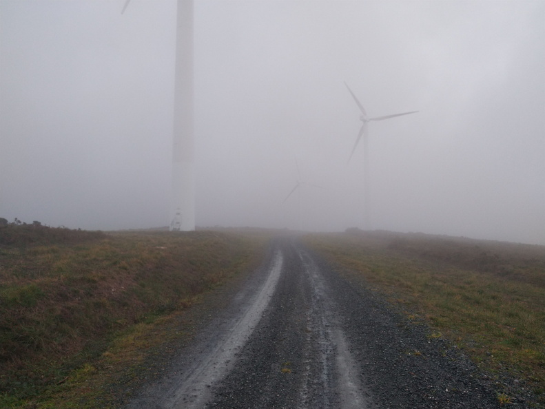 IMG 20221208 173844711