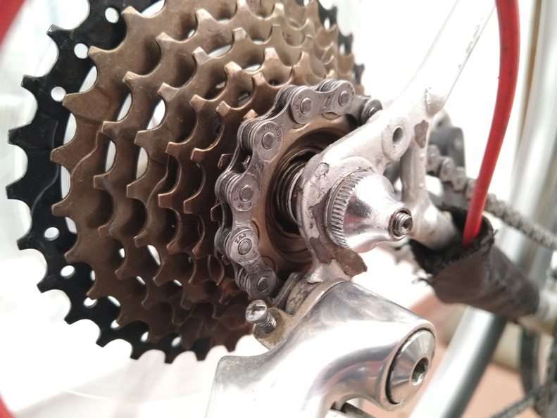 IMG 20220227 103528679