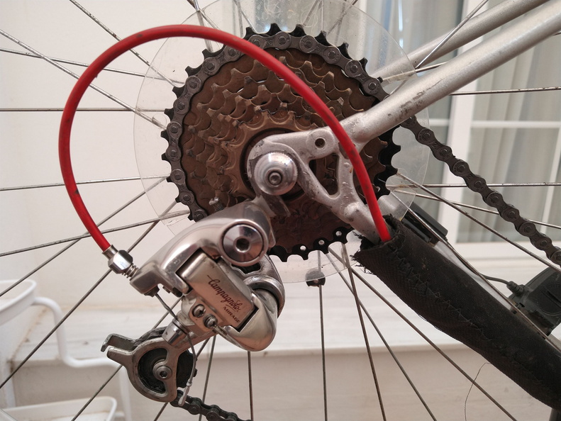 IMG 20220227 110749652