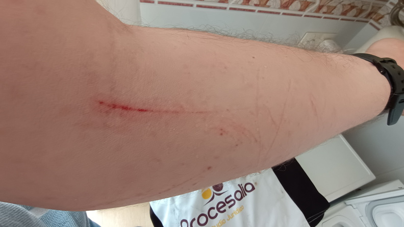 IMG 20230608 152741979