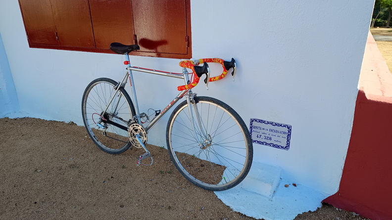 IMG 20231119 100421788