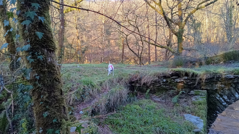 IMG 20231224 104817315 HDR