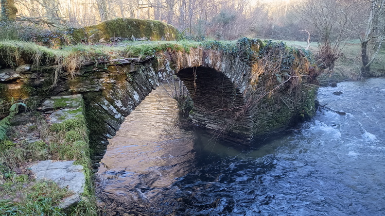 IMG 20231224 104854728