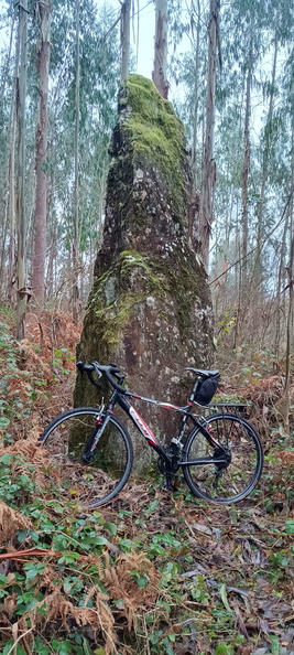 IMG 20240121 095204482 HDR