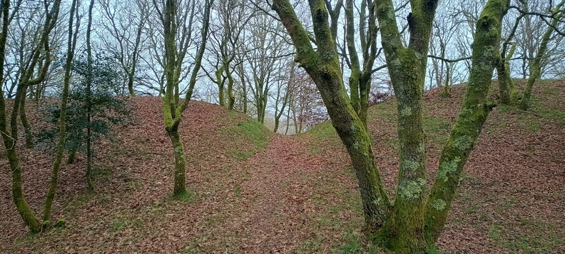 IMG 20240121 111023082 HDR