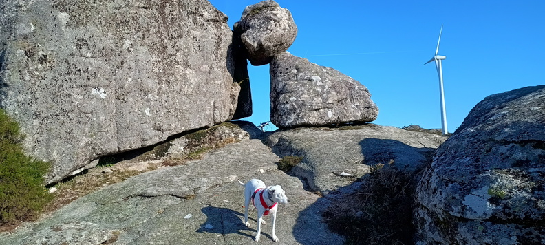 IMG 20240204 114515110 HDR