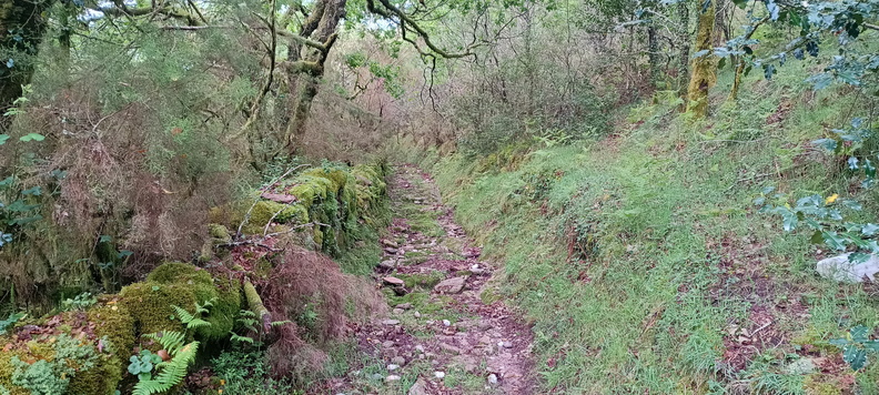 IMG 20240519 094227587 HDR