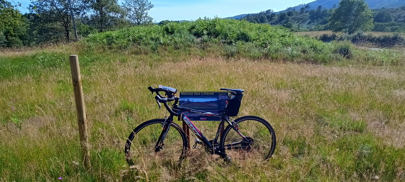 IMG 20240713 184025610 HDR