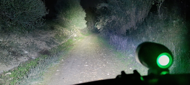 IMG 20241119 202450208