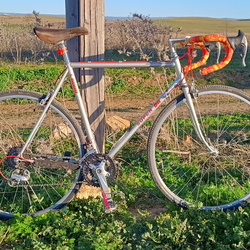 20241224-viaverdeitalica