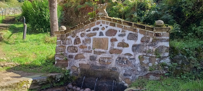 IMG 20240924 131552653 HDR