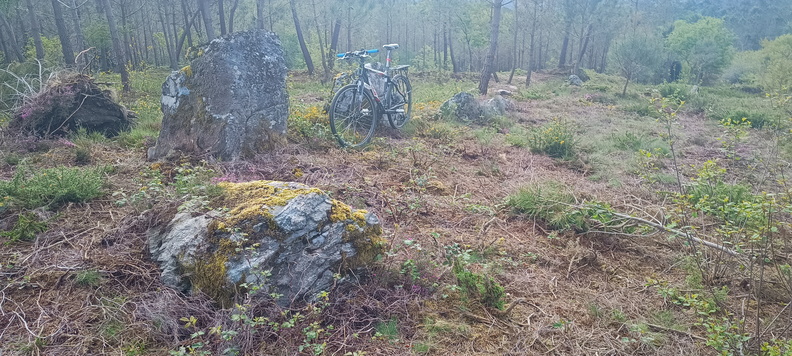 Tramo de monte en las cercanías de Parada