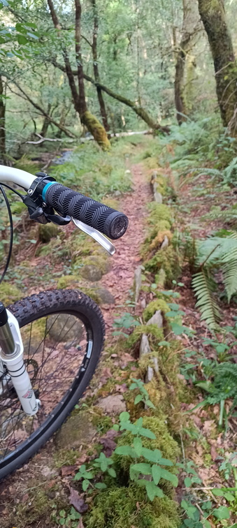 IMG 20250912 180843651 HDR