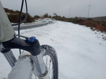 IMG 20260125 102657656